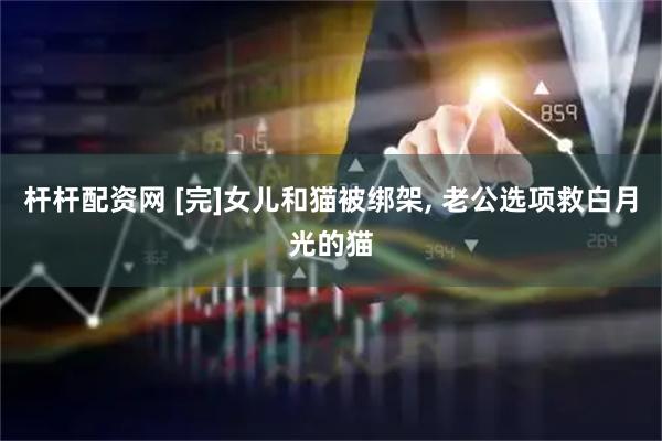 杆杆配资网 [完]女儿和猫被绑架, 老公选项救白月光的猫