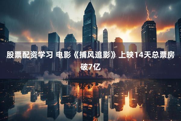 股票配资学习 电影《捕风追影》上映14天总票房破7亿