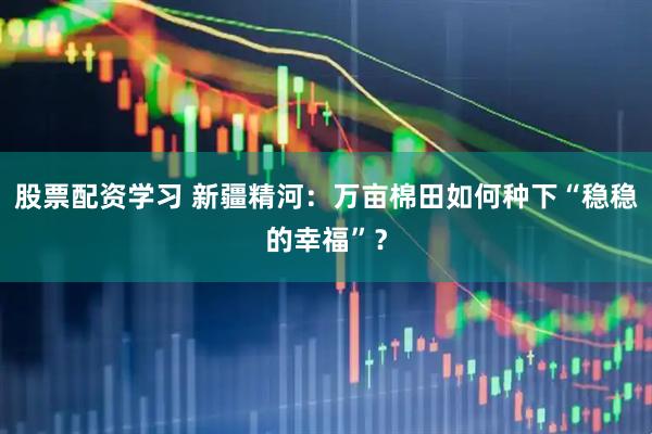 股票配资学习 新疆精河：万亩棉田如何种下“稳稳的幸福”？