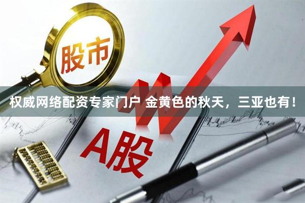 权威网络配资专家门户 金黄色的秋天，三亚也有！