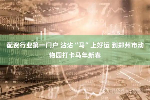 配资行业第一门户 沾沾“马”上好运 到郑州市动物园打卡马年新春