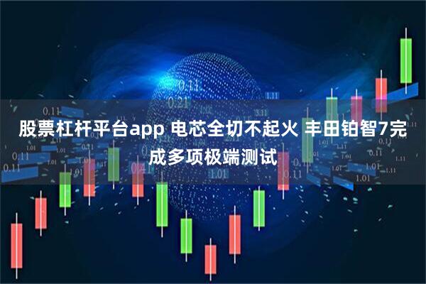 股票杠杆平台app 电芯全切不起火 丰田铂智7完成多项极端测试